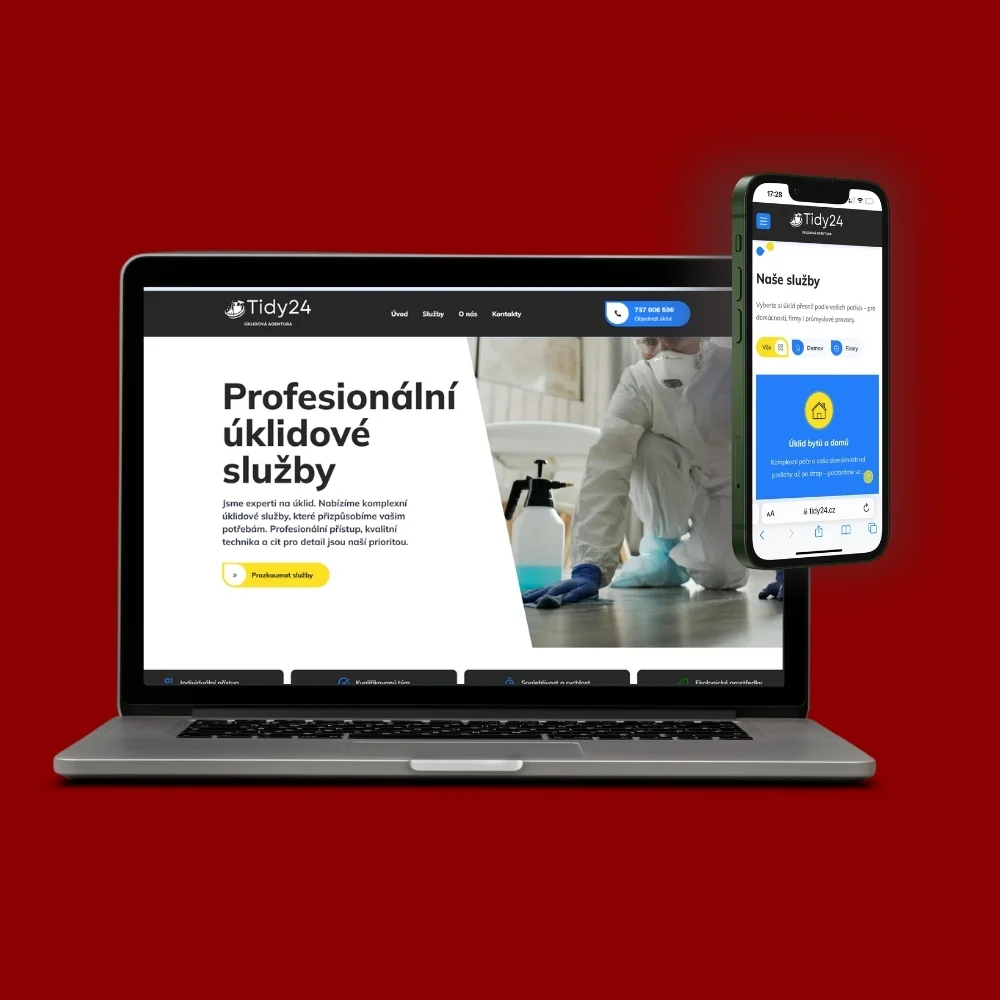 Náhled projektu Tidy24