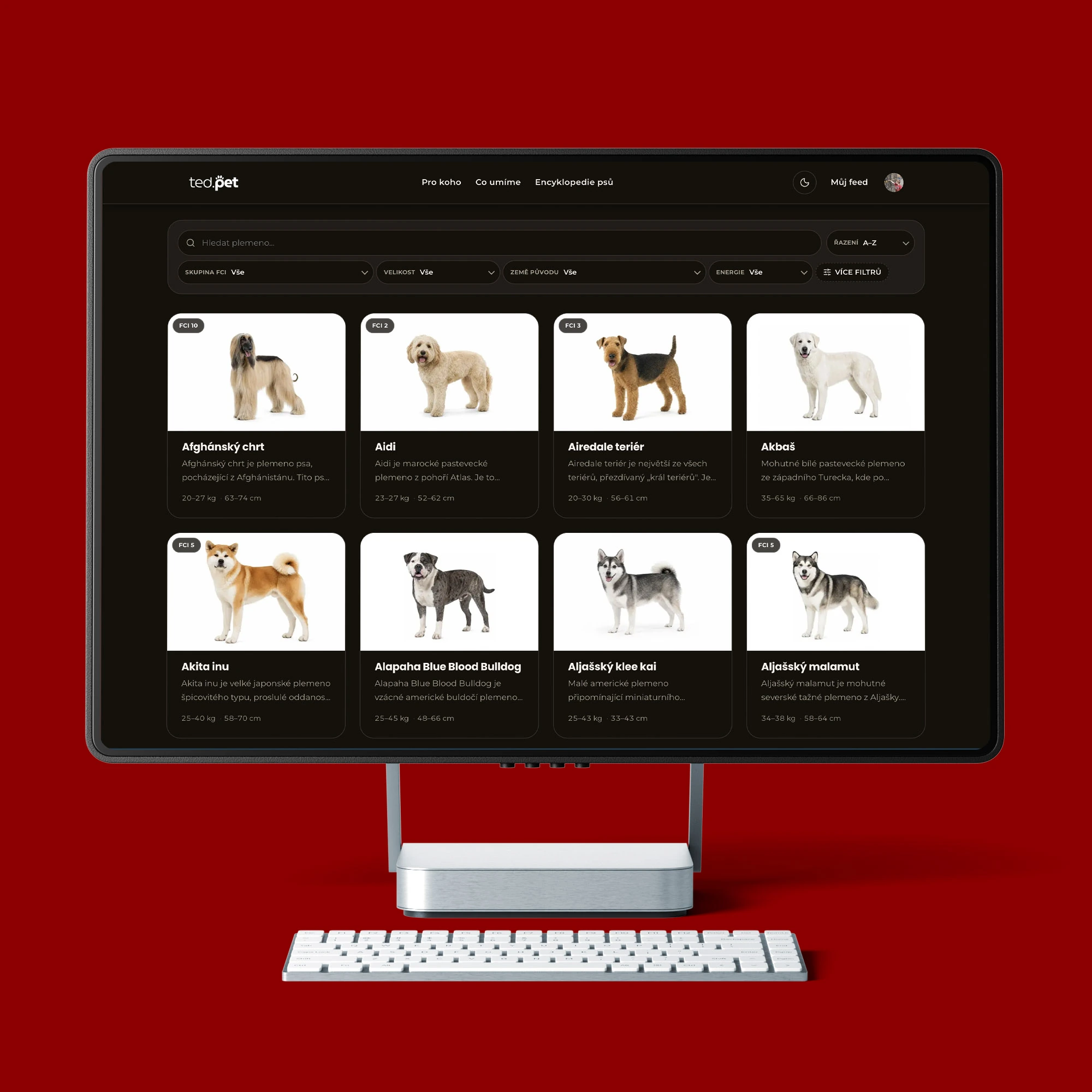 Encyklopedie psích plemen na webu ted.pet na monitoru stolního počítače s kartami jednotlivých plemen