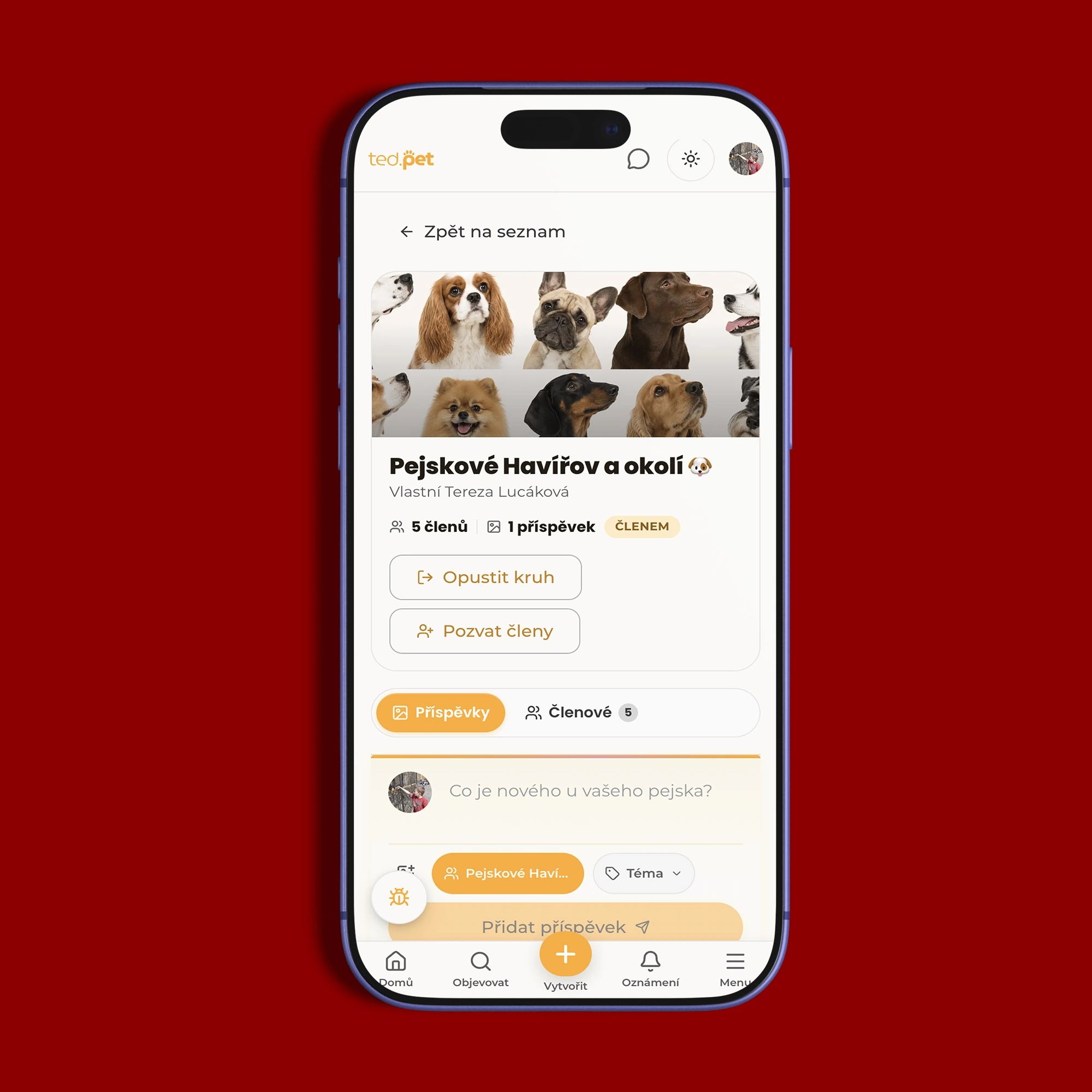 Mobilní verze ted.pet na telefonu s detailem komunitního kruhu, počtem členů a polem pro nový příspěvek